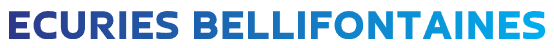 Ecuries Bellifontaines.com – Sports Betting